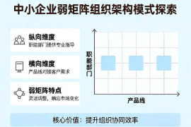 浅谈弱矩阵式管理在中小企业的应用：一种正在摸索中的组织架构管理模式